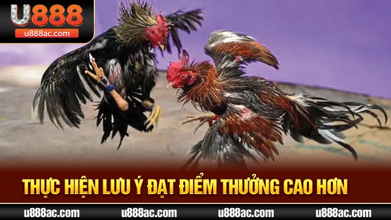 Thực hiện lưu ý đạt điểm thưởng cao hơn