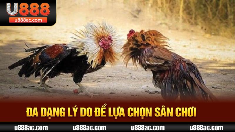 Đa dạng lý do để lựa chọn sân chơi