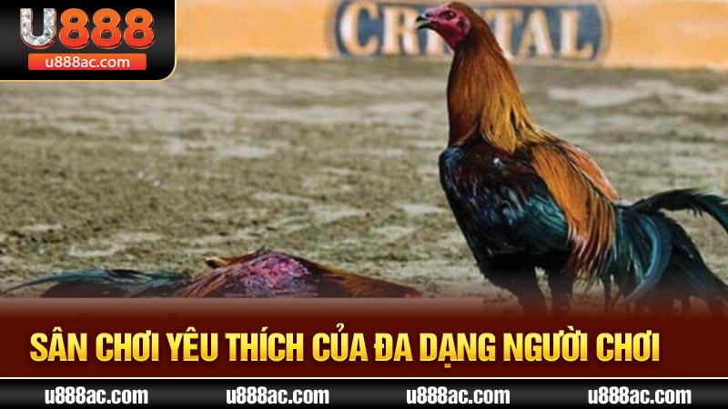 Sân chơi yêu thích của đa dạng người chơi